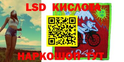 индика Ставрополь