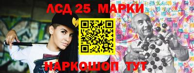 индика Ставрополь
