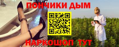 индика Ставрополь