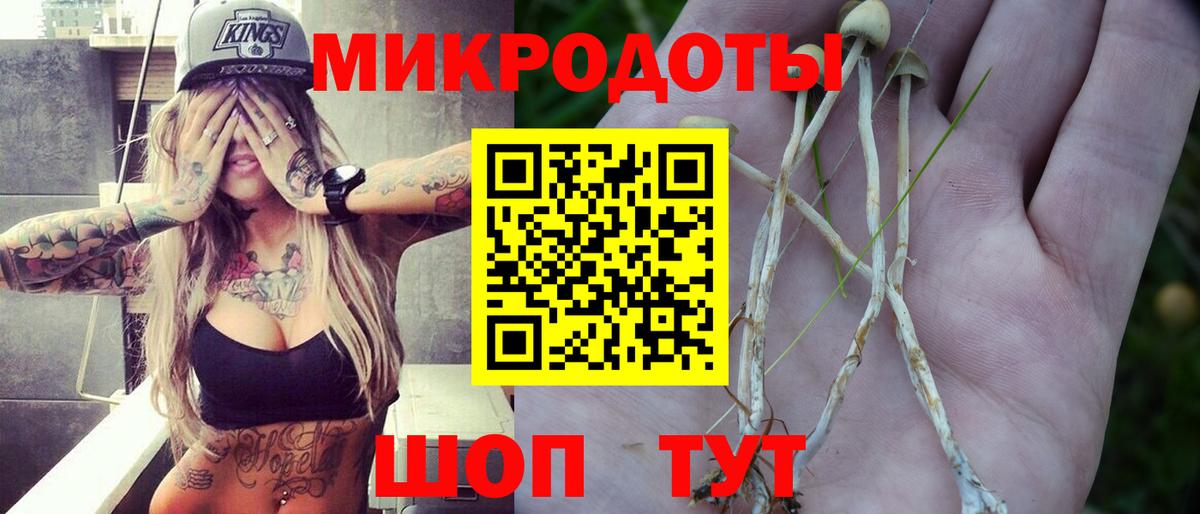Галлюциногенные грибы Psilocybe  Вход с VPN  Галлюциногенные грибы мицелий  магазин  наркотиков  Минеральные Воды 