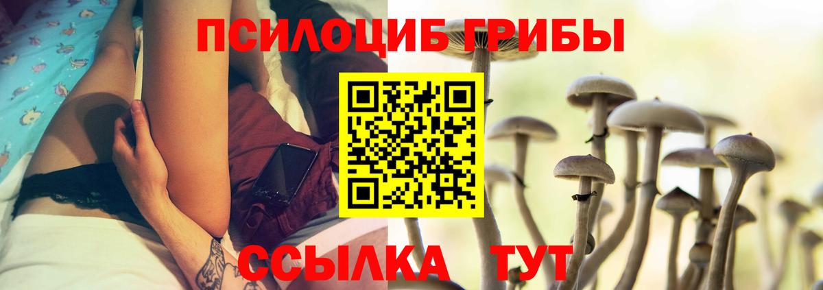 Псилоцибиновые грибы мицелий Минеральные Воды